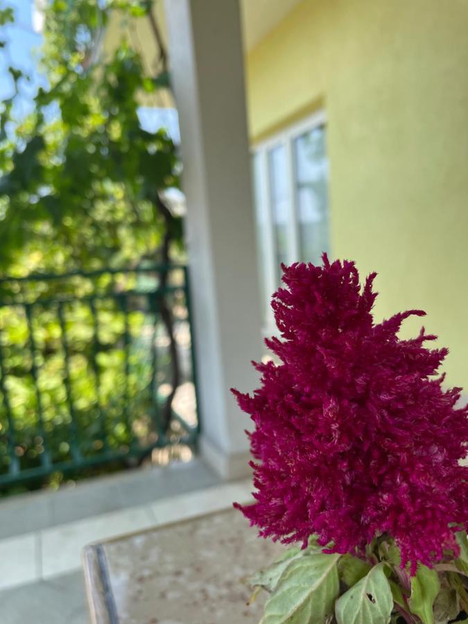 Poljica  Apartments Mornar מראה חיצוני תמונה