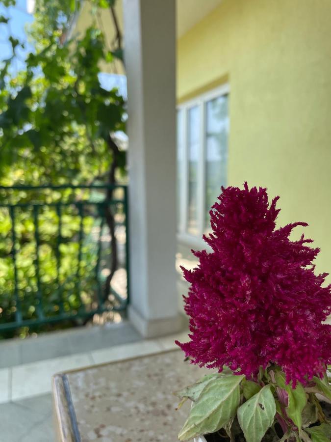 Poljica  Apartments Mornar מראה חיצוני תמונה
